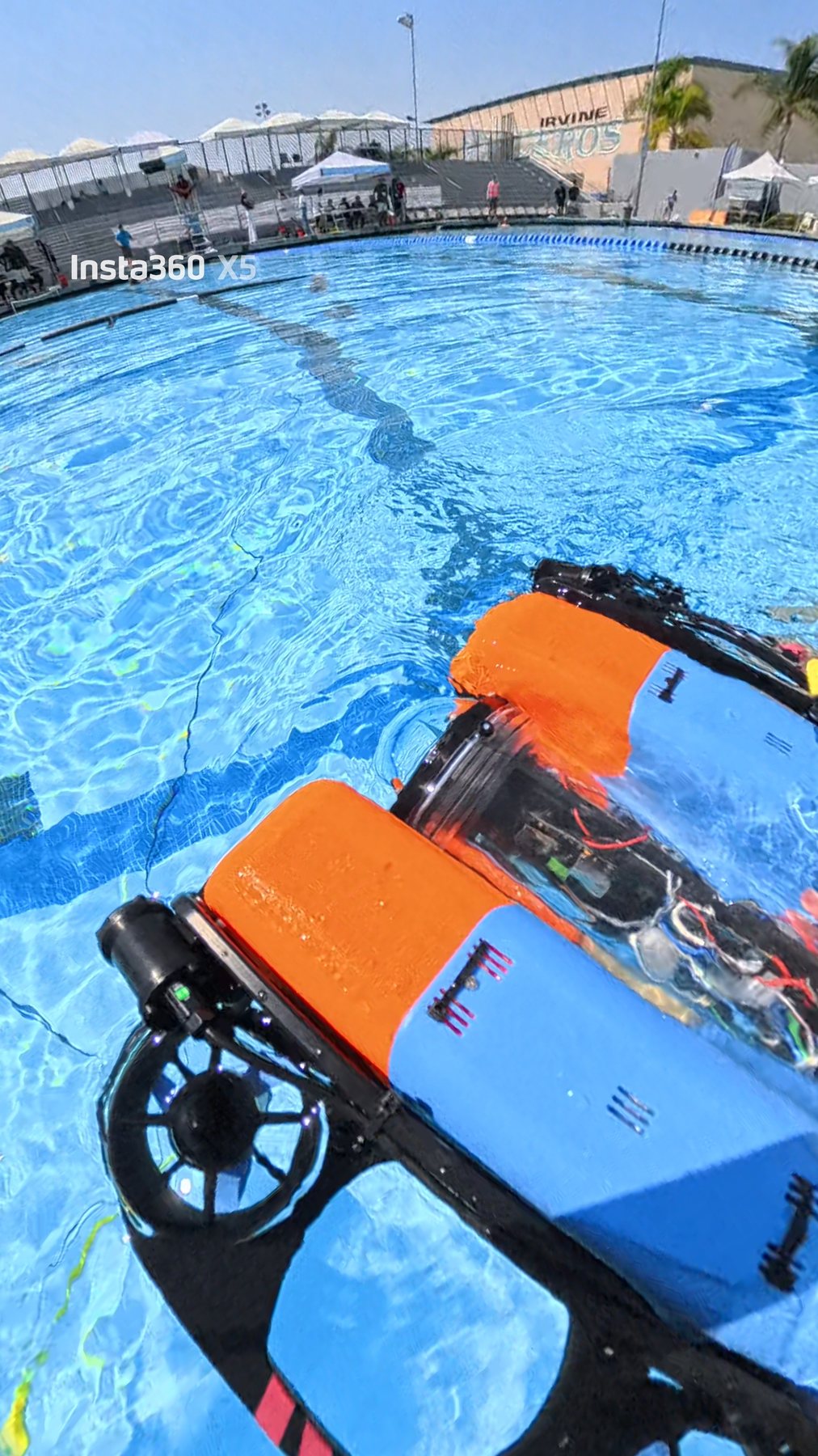 Sir. Swims-A-Lot in the RoboSub pool at Irvine
