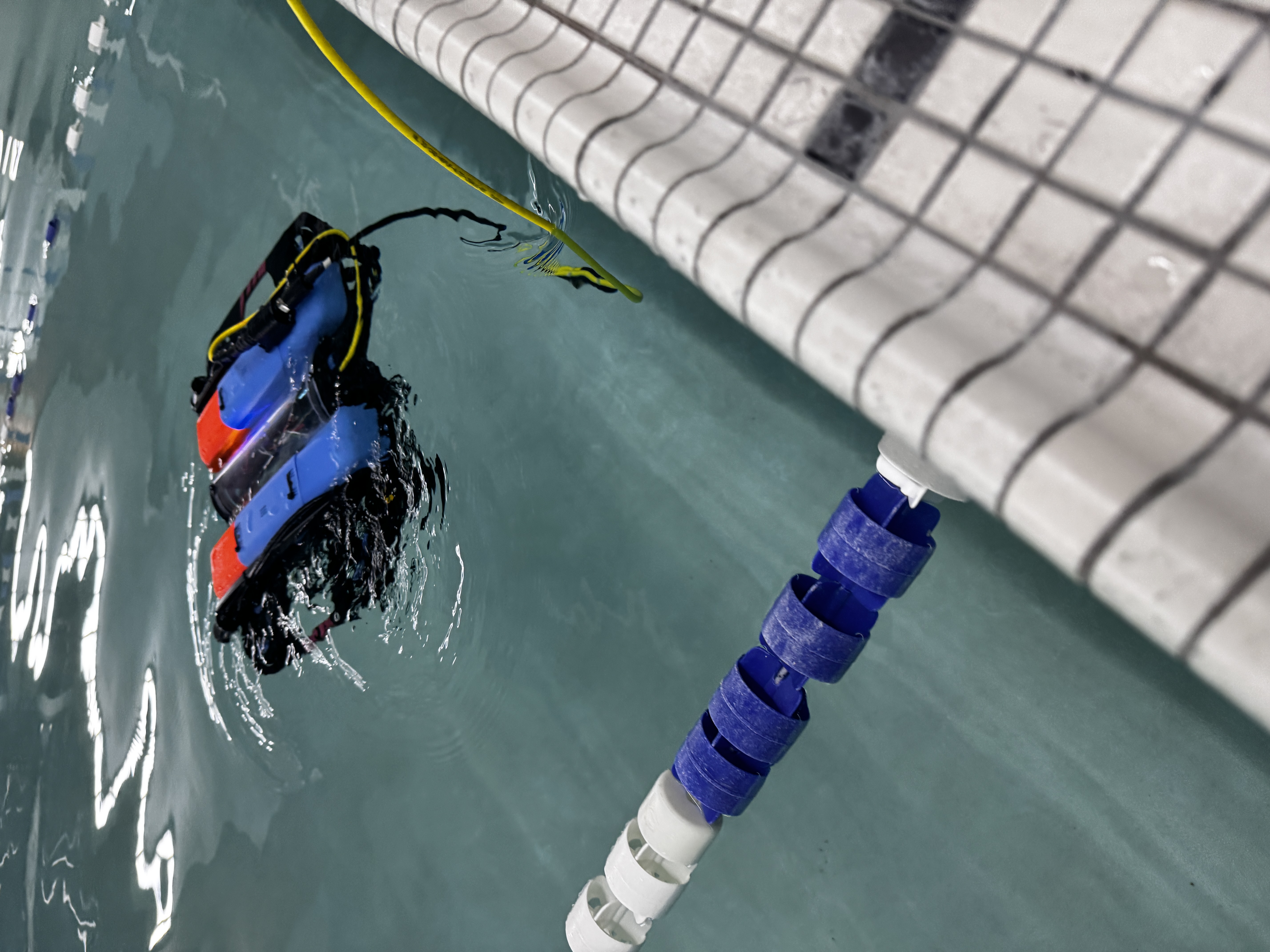 Sir. Swims-A-Lot navigating in the pool during testing